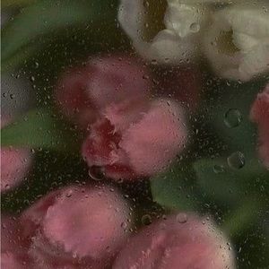 Meet your Posher, Sloane